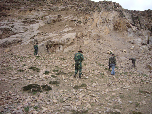 西藏203线日喀则地区楠木林县至那曲地区申扎县公路勘察地质调绘